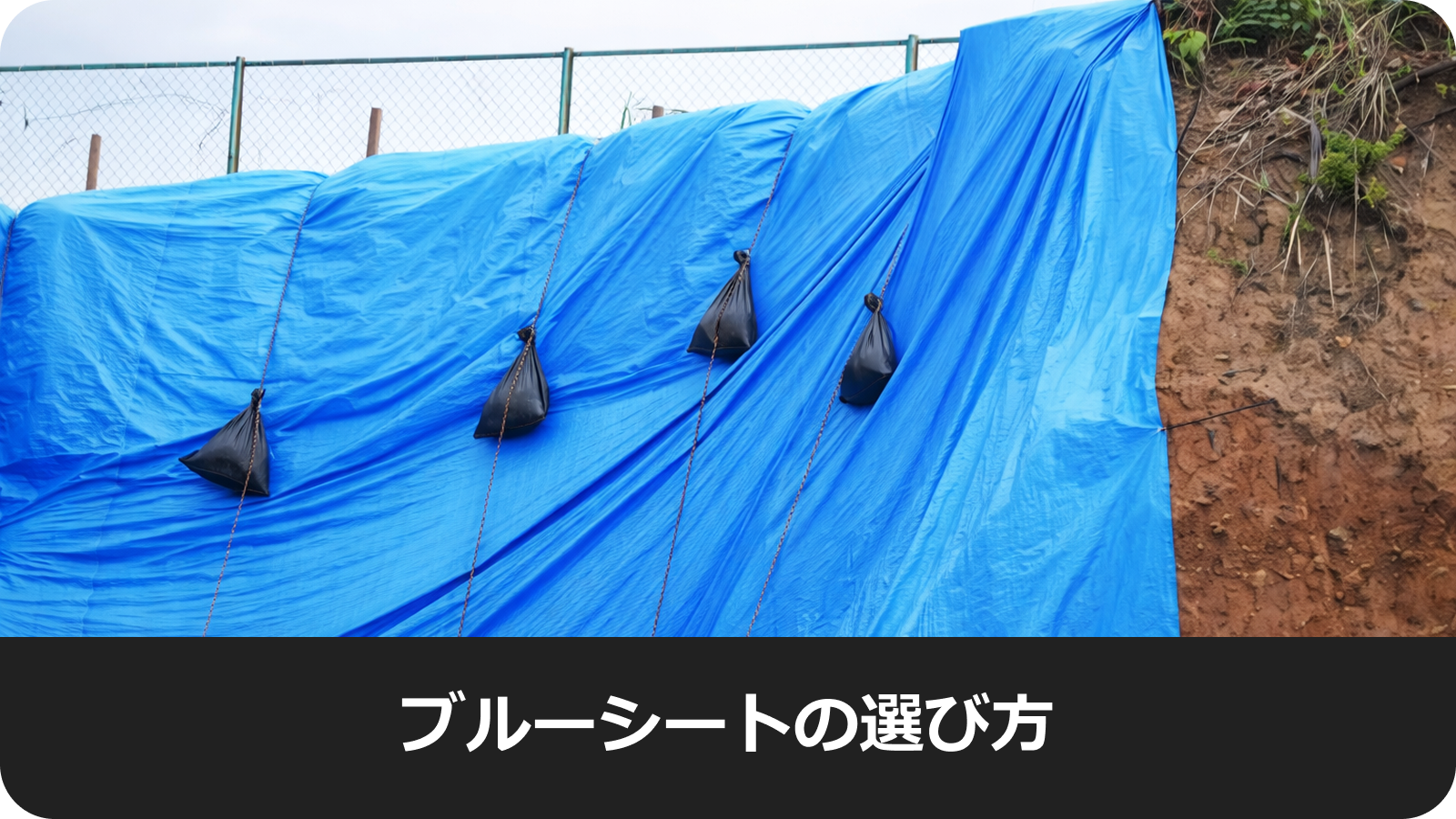 ブルーシートの選び方