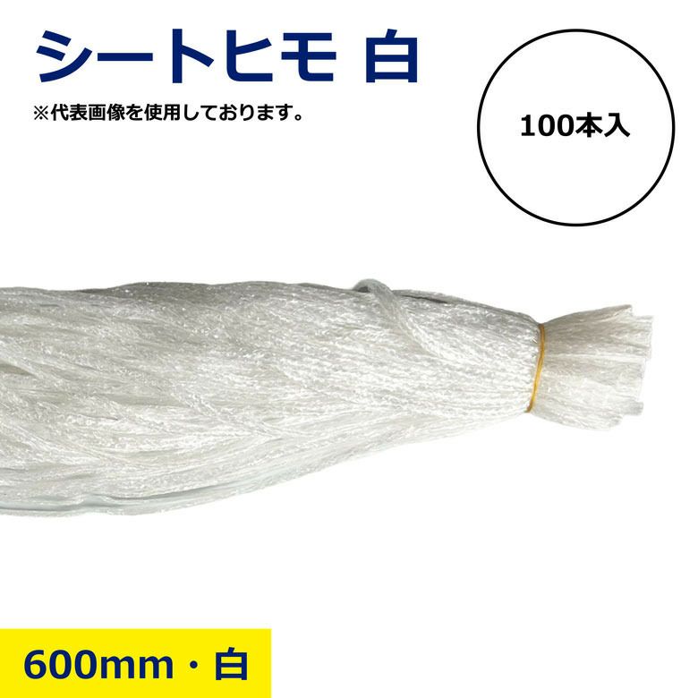 シートヒモ 白 600mm 100本入
